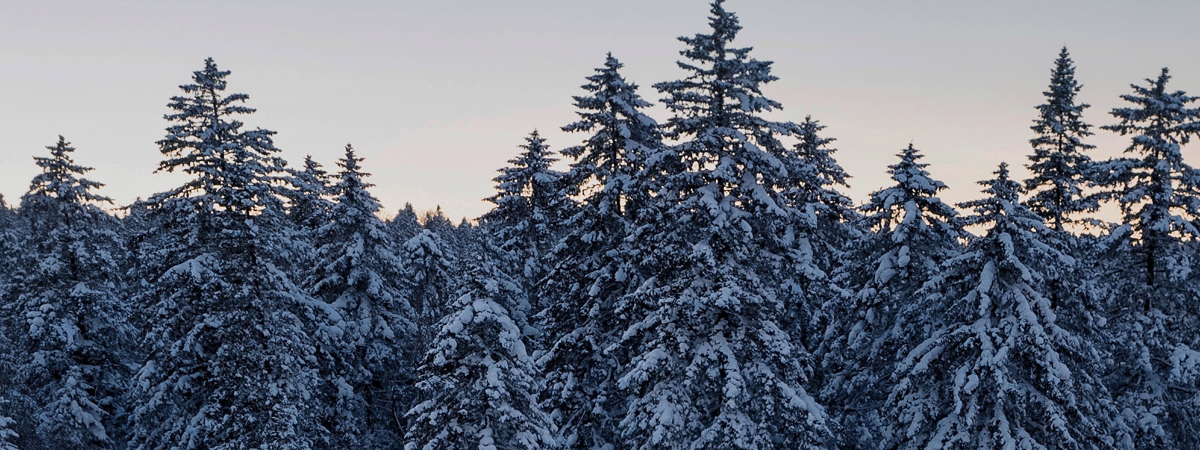 D5：境內【老裡克湖】保留著最原生態景觀資源，讓人印象深刻，其被譽為“中國南極”、“北方的香格里拉”。莽莽的林海雪原，厚厚的雪，在筆直挺拔直聳雲天原始林木間，徒步穿行3.5公里，賞盡森林霧冰掛、天然雪雕，直至高山深處的靜謐平湖，人跡罕至，卻有不時出現的動物蹤跡，令人感到非常神秘。