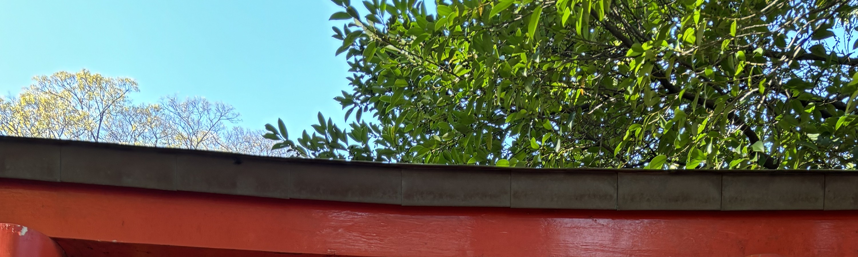 Yanaka Walking Tour: Historic and Traditional District of Tokyo 