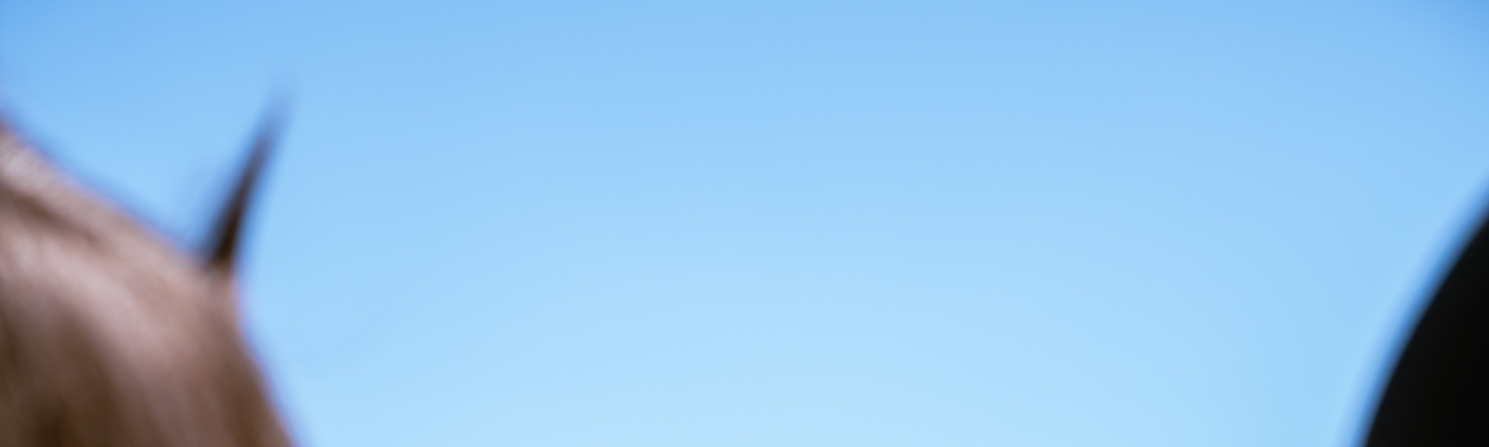 特奧蒂瓦坎上午半日遊