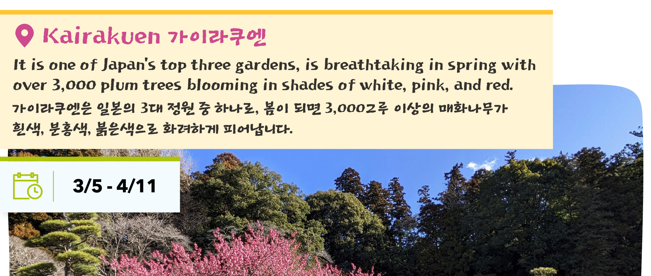 季節限定: 國營常陸海濱公園 & 足利花卉公園一日遊 (東京出發)