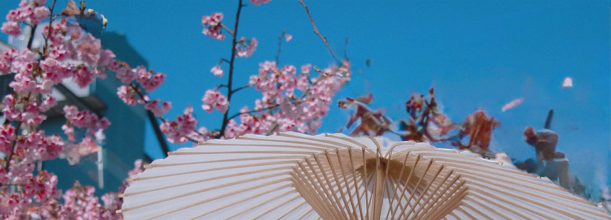 Asakusa Kimono Rental OSHARE Japanese Makeup & Tea Ceremony Experience Open until 10 PM - Thumbnail 19