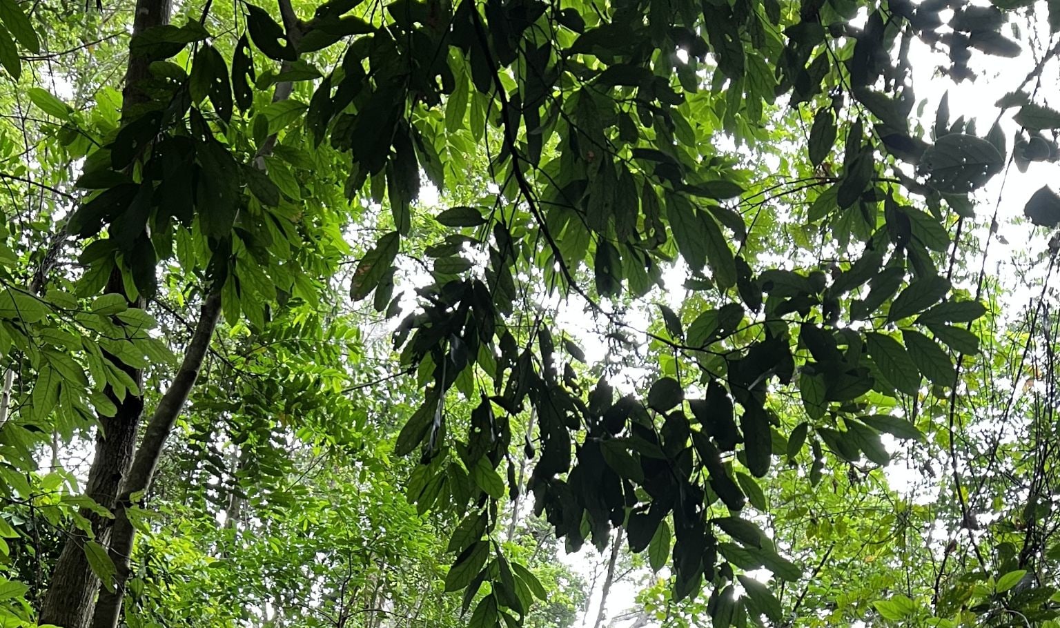 素帖山普伊國家公園探險健行