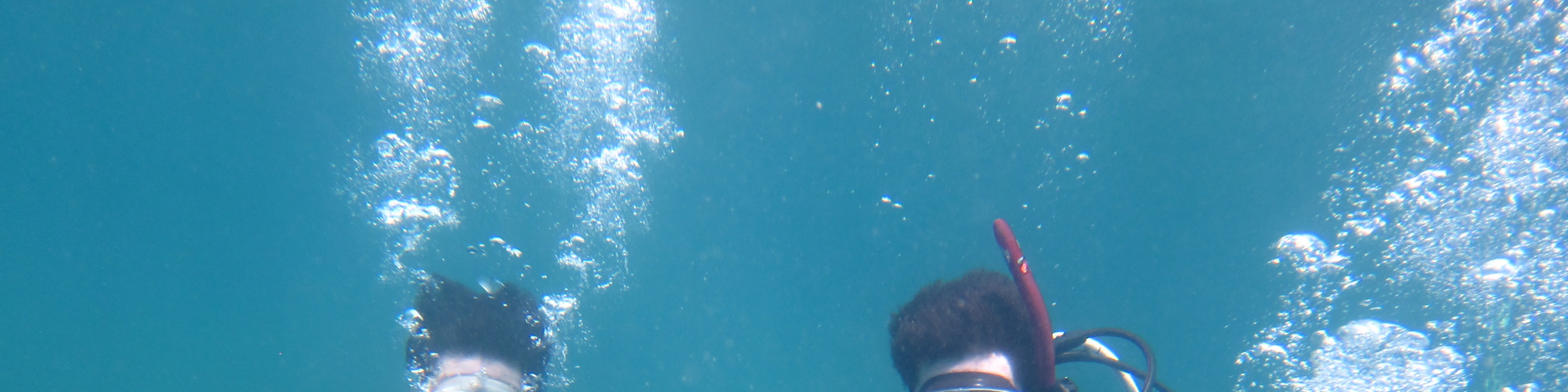 探索大阪海底：PADI 5* 中心的 3 天開放水域潛水員