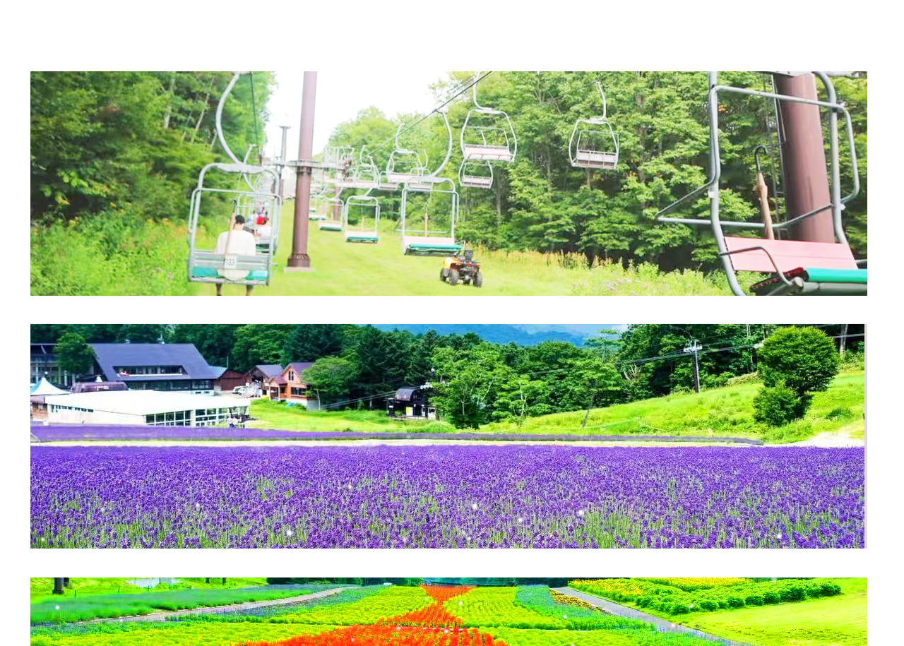 搭乘花田纜車緩緩上山,從空中俯瞰整片薰衣草田,視野遼闊又震撼,特別適合喜歡拍照、想悠閒漫步的旅客。
夏季限定的薰衣草冰淇淋更是必吃熱門,以花香與奶香結合的獨特滋味,為你的旅程增添甜蜜回憶。 搭乘花田纜車緩緩上山,從空中俯瞰整片薰衣草田,視野遼闊又震撼,特別適合喜歡拍照、想悠閒漫步的旅客。
夏季限定的薰衣草冰淇淋更是必吃熱門,以花香與奶香結合的獨特滋味,為你的旅程增添甜蜜回憶。