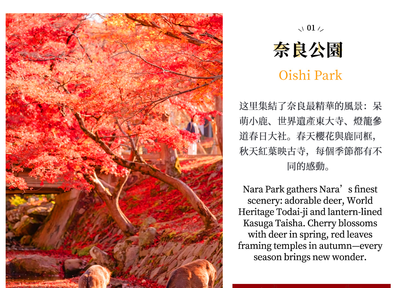 Nara Deer & Fushimi Inari-taisha Shrine & Arashiyama Day Trip (Departing from Osaka) - Thumbnail 3