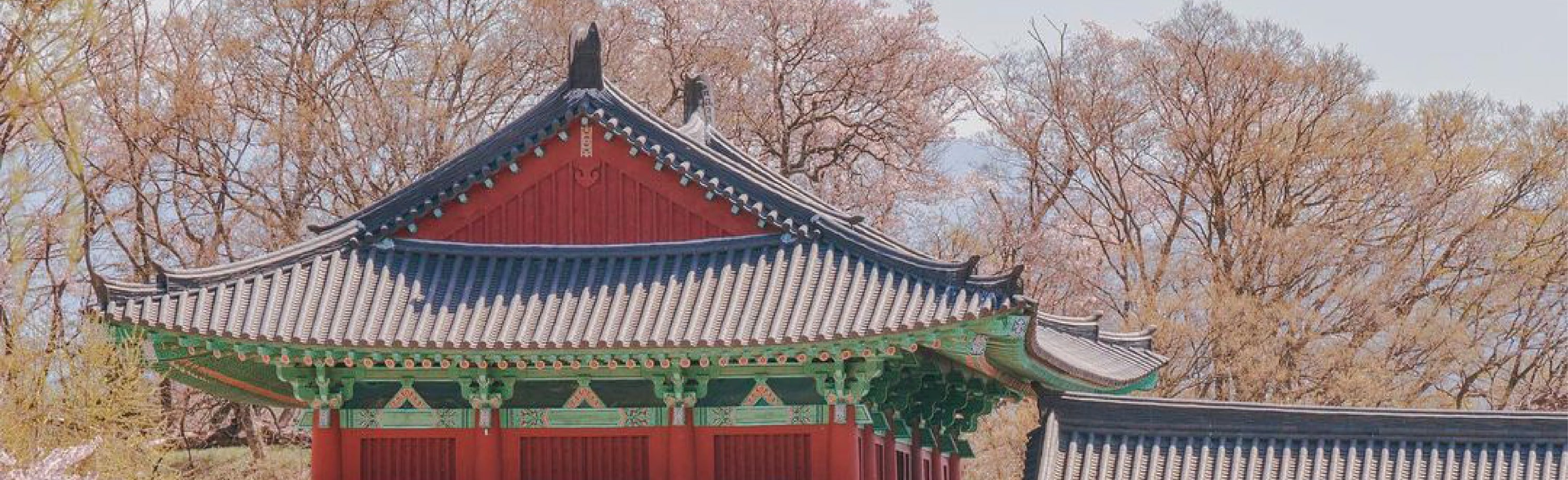 釜山 & 慶州一日遊（釜山出發）