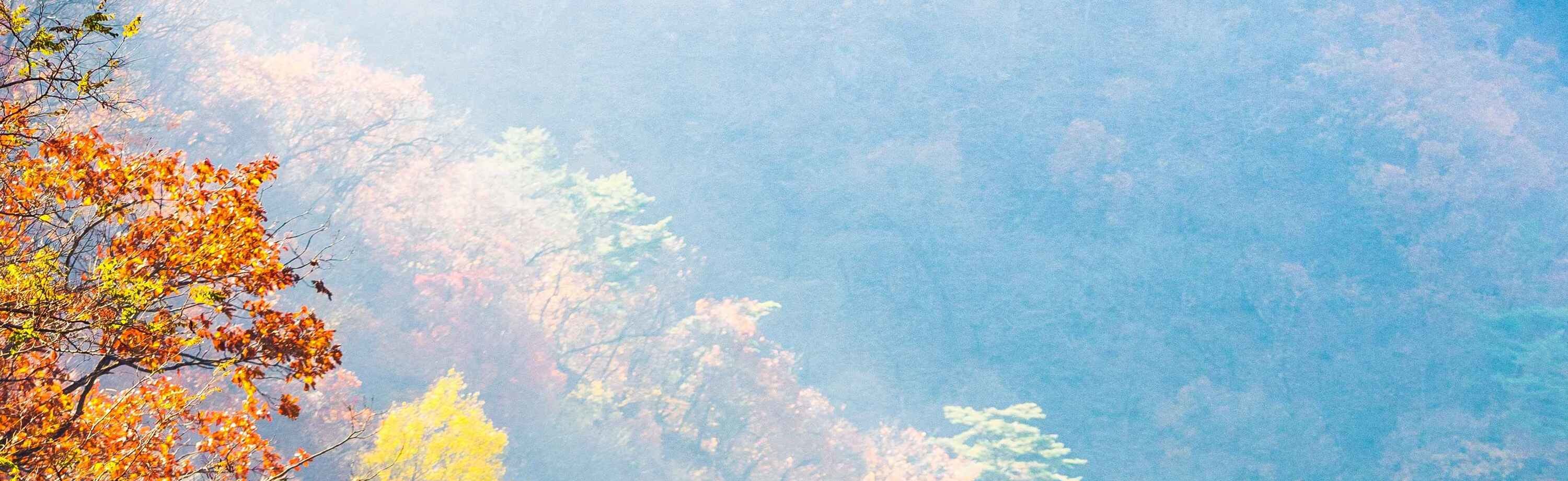 軌道自行車(近南怡島) 軌道自行車(近南怡島)