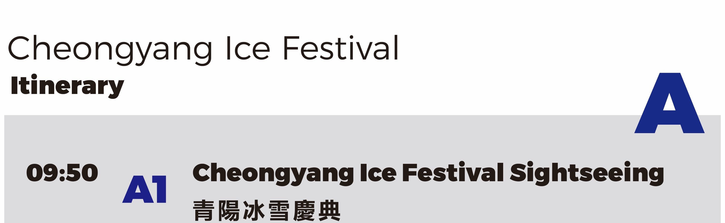 Cheongyang Ice Festival & Nami & Eobi Ice Valley & Strawberry Tour