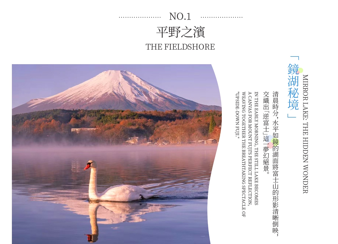 Mount Fuji from Land and Water | Yamanakako KABA Amphibious Bus / Swan Boat Cruise Optional + Hirano Beach + Oshino Hakkai + Lake Kawaguchi Oishi Park | Family Preferred & Departure from Tokyo