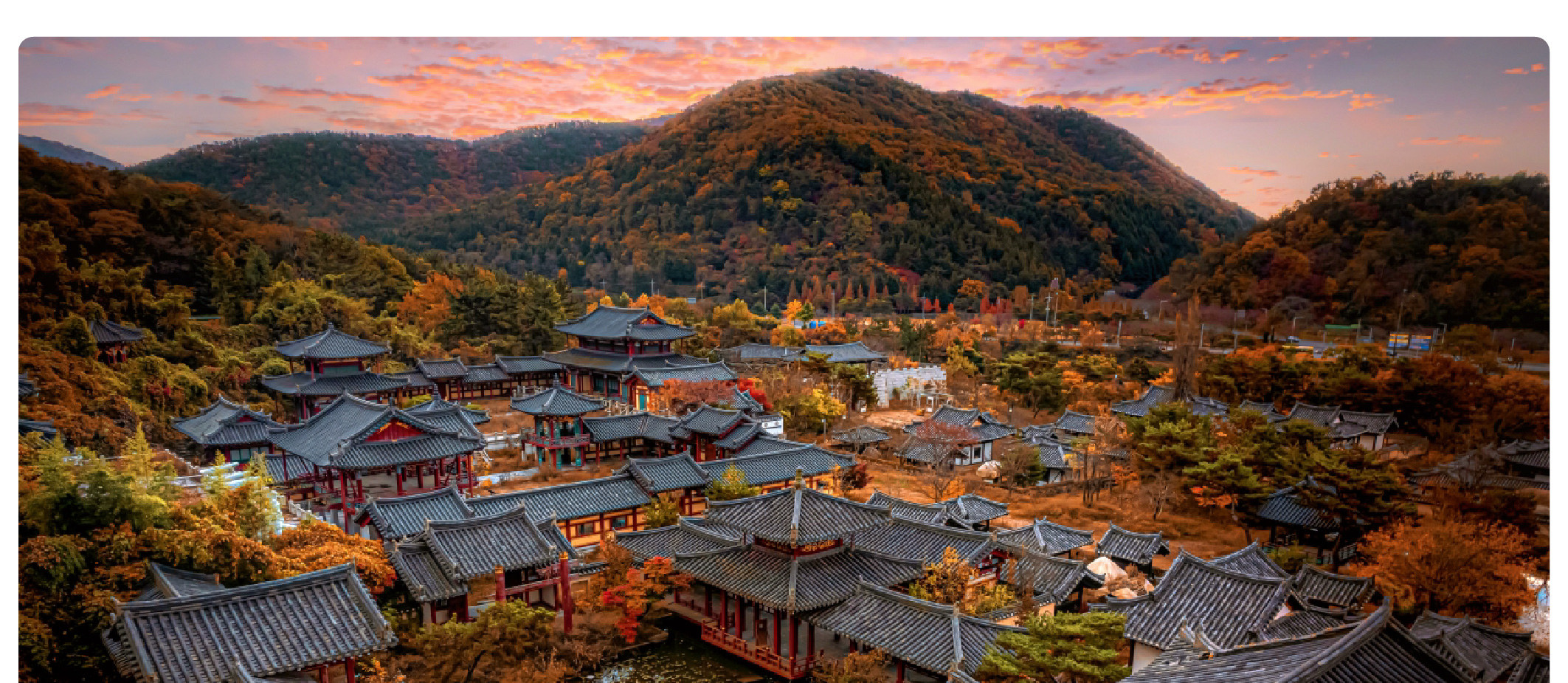 慶州賞楓一日遊（釜山出發）