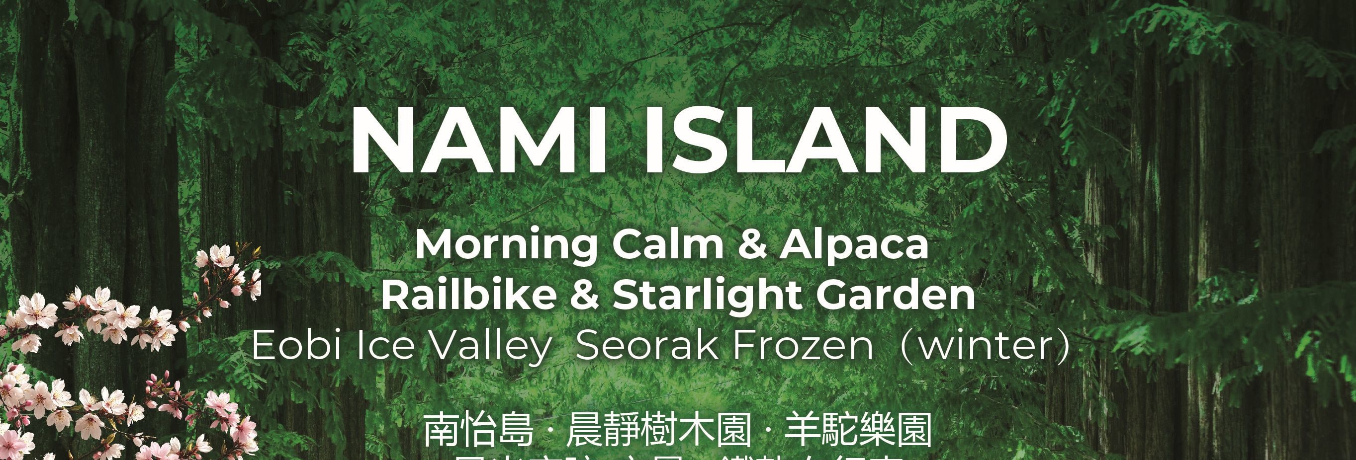 南怡島 (Nami Island) & 伊甸園冰雪世界 (Eobi Ice Valley) & 全景場 (Panorama Field) &  晨靜樹木園 (Morning Calm) 旅遊
