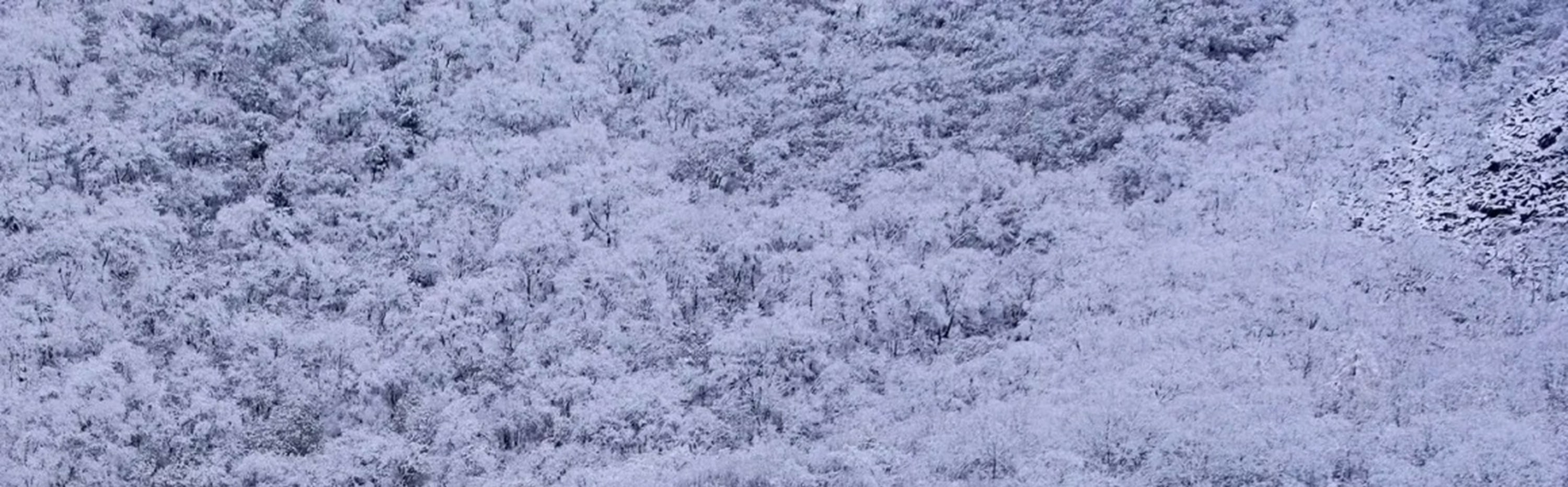 四川九寨黃龍動車往返2日高奢之旅（暢遊絕美九寨溝+探秘黃龍仙境+動車專列+可選4鑽/5鑽酒店+贈送九寨溝旅拍+國家5A級景區+成都往返）