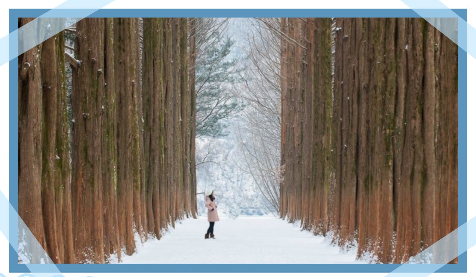 韓國冬季必訪人氣景點！漫步並拍下著名的小王子般南怡島，享受大自然的美景。到Alpaca World與可愛的羊駝親密互動，適合所有年齡層！一天之內盡享韓國冬季樂趣與春日魅力。一天之内体验韩国最棒的冬季乐趣和春季魅力