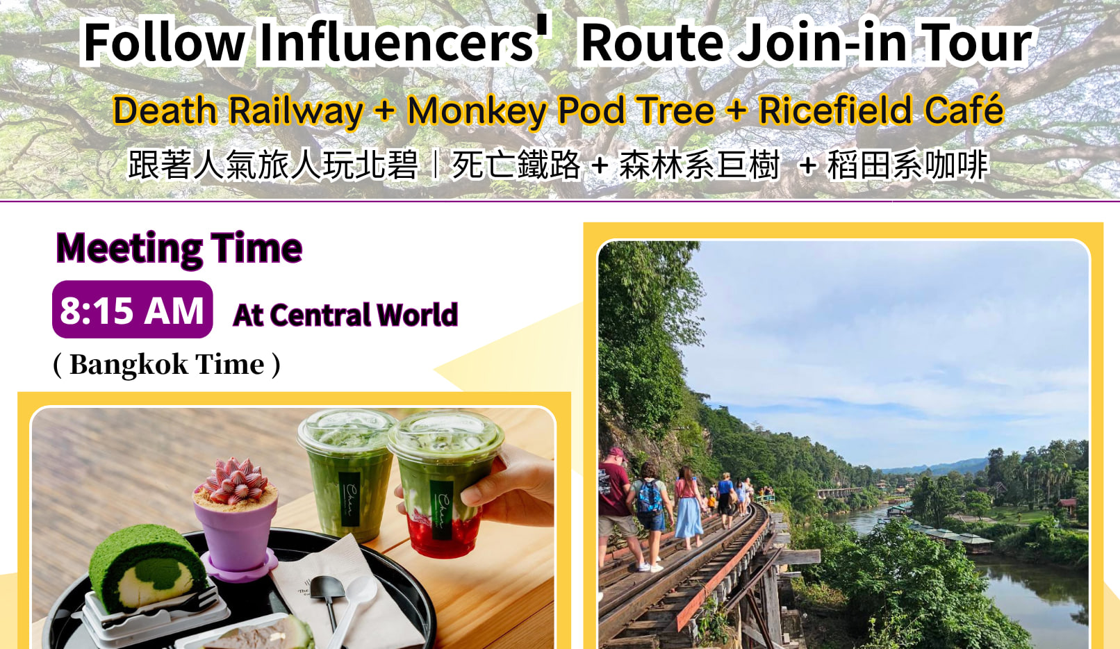 方案：網紅路線拼團遊