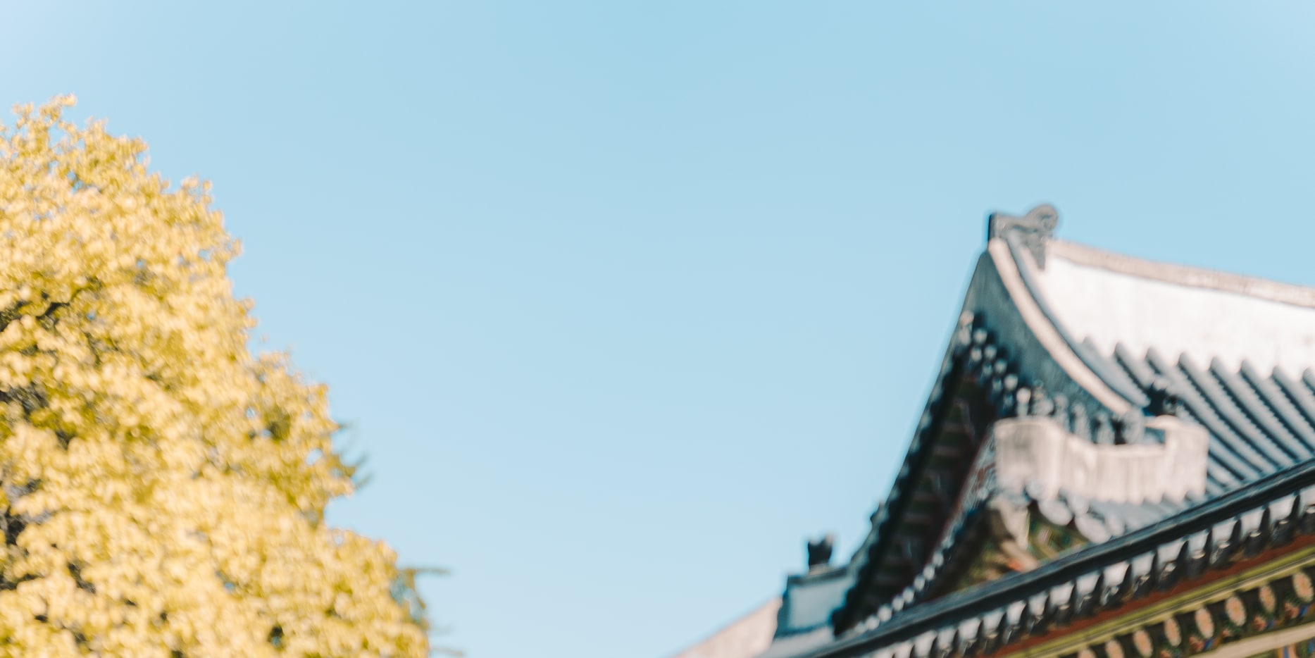 首爾街景攝影體驗
