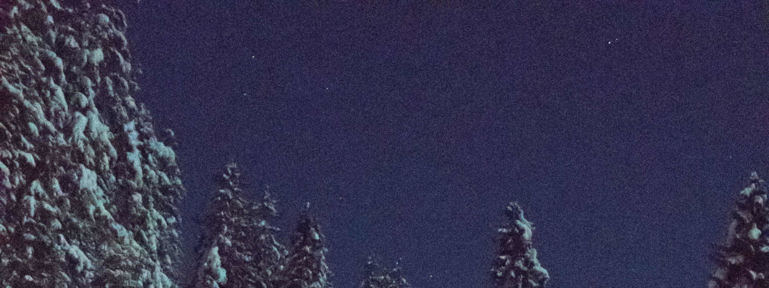 Night Sledding Experience from Interlaken