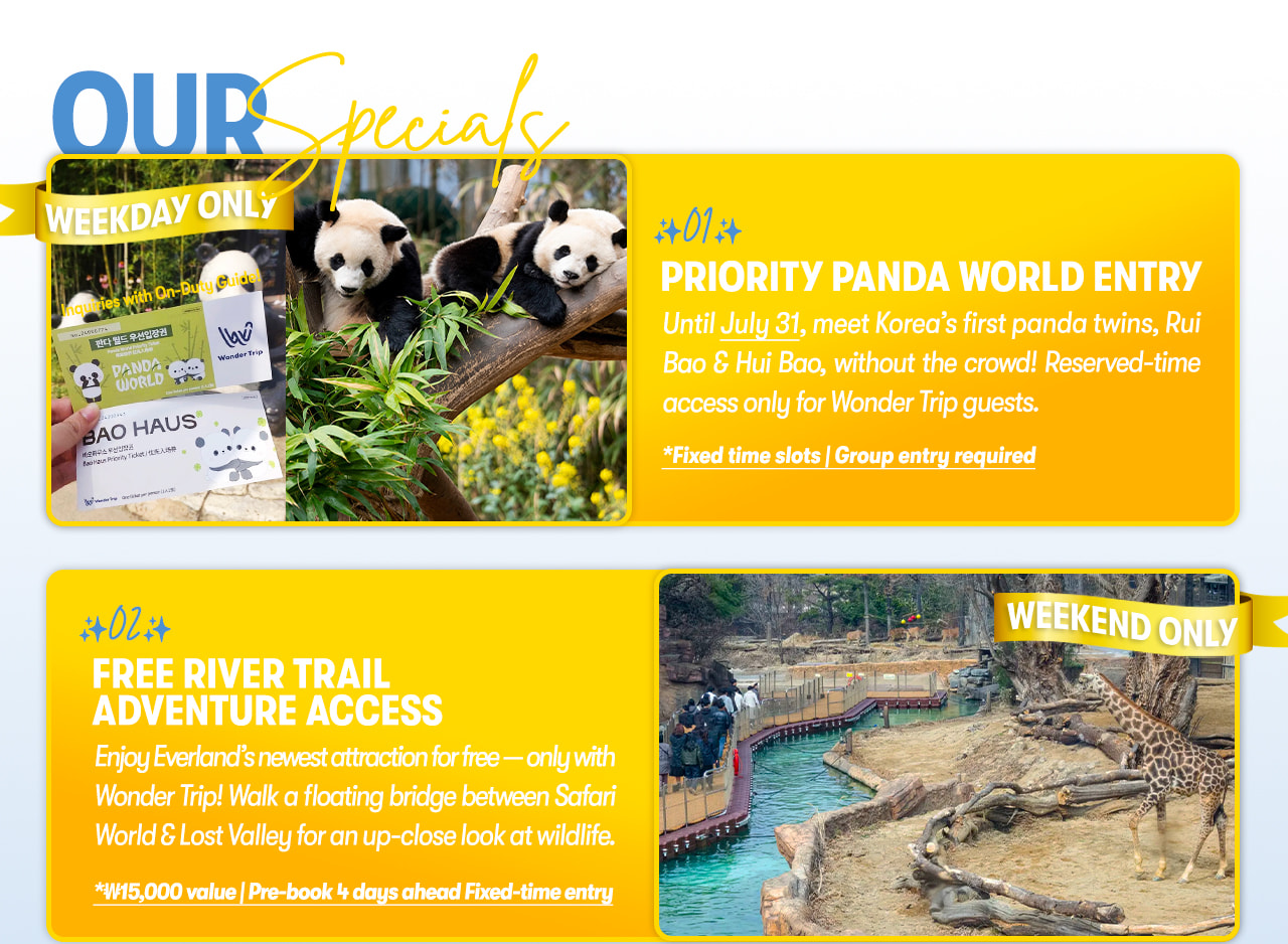 Everland Day Tour: Priority Entry (Till 31/5) + Optional Meal Coupon