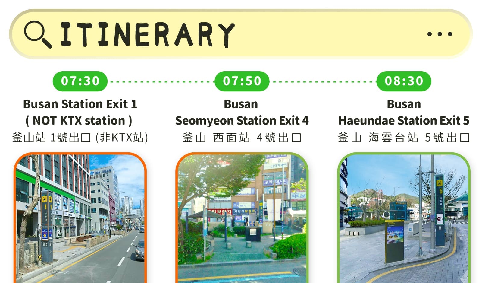 Pohang Space Walk x Cherry Blossom, Guryongpo, Homigot Canola Flower