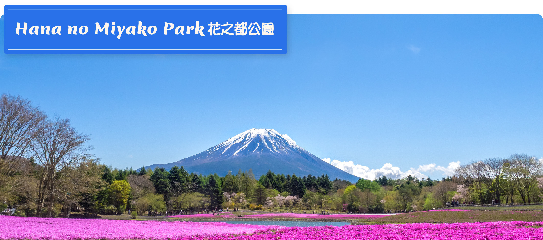 富士山 & 箱根精華遊: 山中湖/忍野八海/新倉山淺間公園/大石公園/羅森打卡/大涌谷/大淵笹場/雕刻之森美術館 (中/英/韓語導遊)