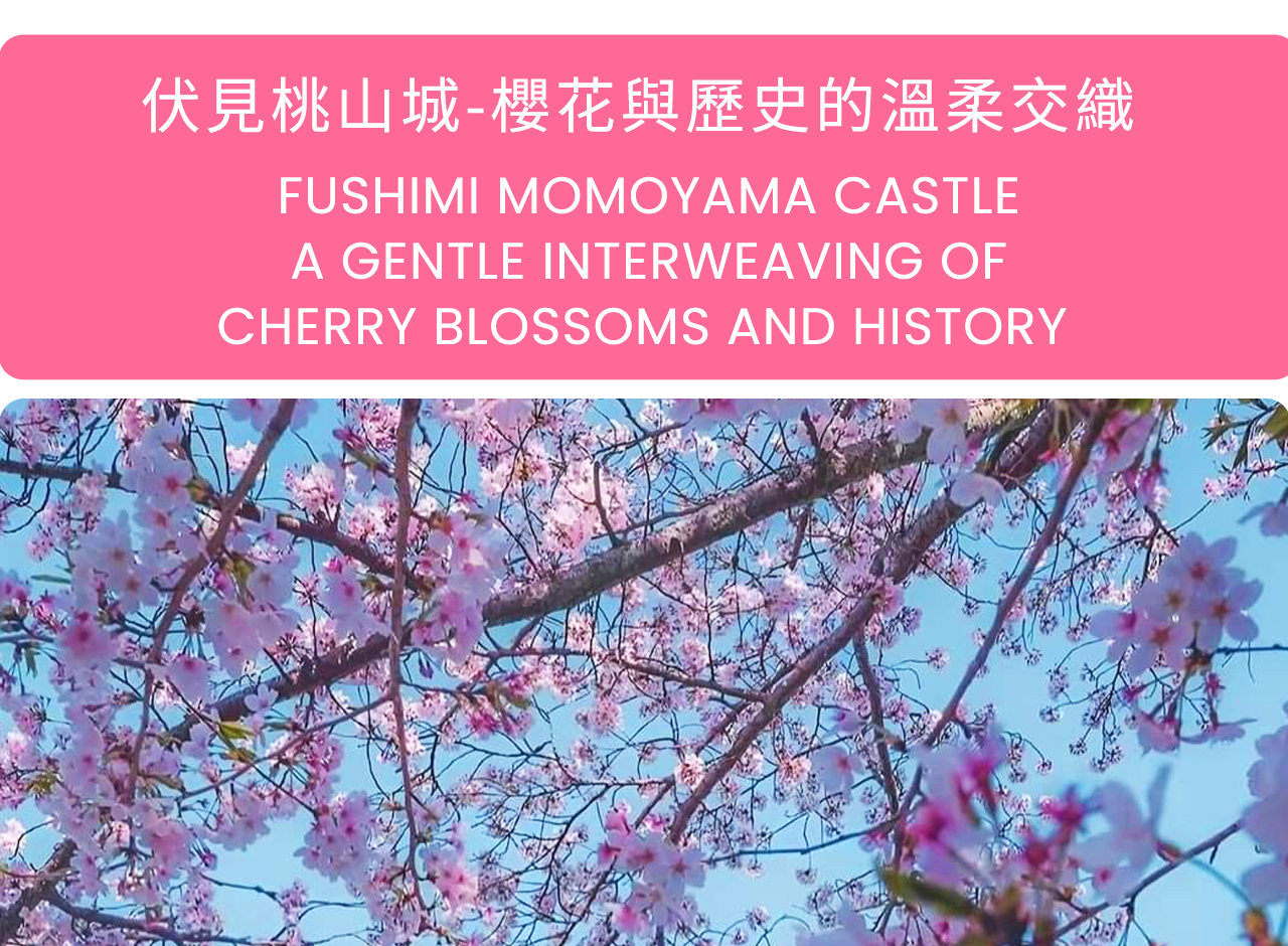 伏見桃山城在櫻花季被粉色花海環繞,城郭與春櫻相映成景,是深受當地人喜愛的悠閒賞櫻名所。 伏見桃山城在櫻花季被粉色花海環繞,城郭與春櫻相映成景,是深受當地人喜愛的悠閒賞櫻名所。
