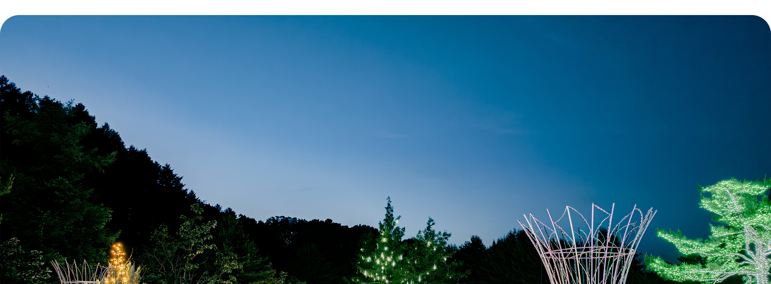 漫步在閃耀的奇幻仙境,The stay healing park 的光雕藝術將夜晚點綴得生動活潑。 漫步在閃耀的奇幻仙境,The stay healing park 的光雕藝術將夜晚點綴得生動活潑。