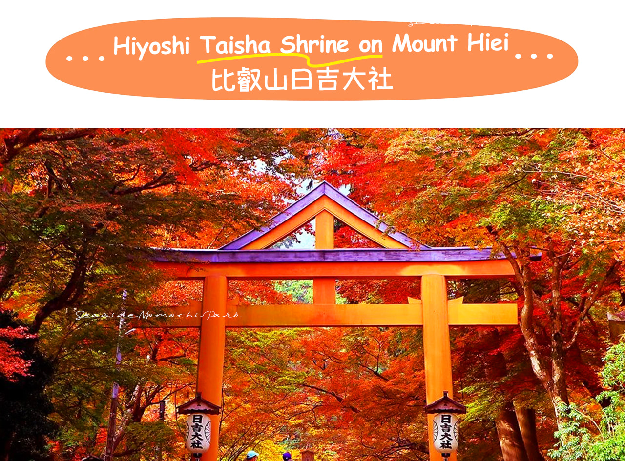 紮根比叡山的千年古社,日吉大社以莊重社宇、參天古木與深厚信仰文化,盡顯京都近郊的靜謐與厚重。 紮根比叡山的千年古社,日吉大社以莊重社宇、參天古木與深厚信仰文化,盡顯京都近郊的靜謐與厚重。