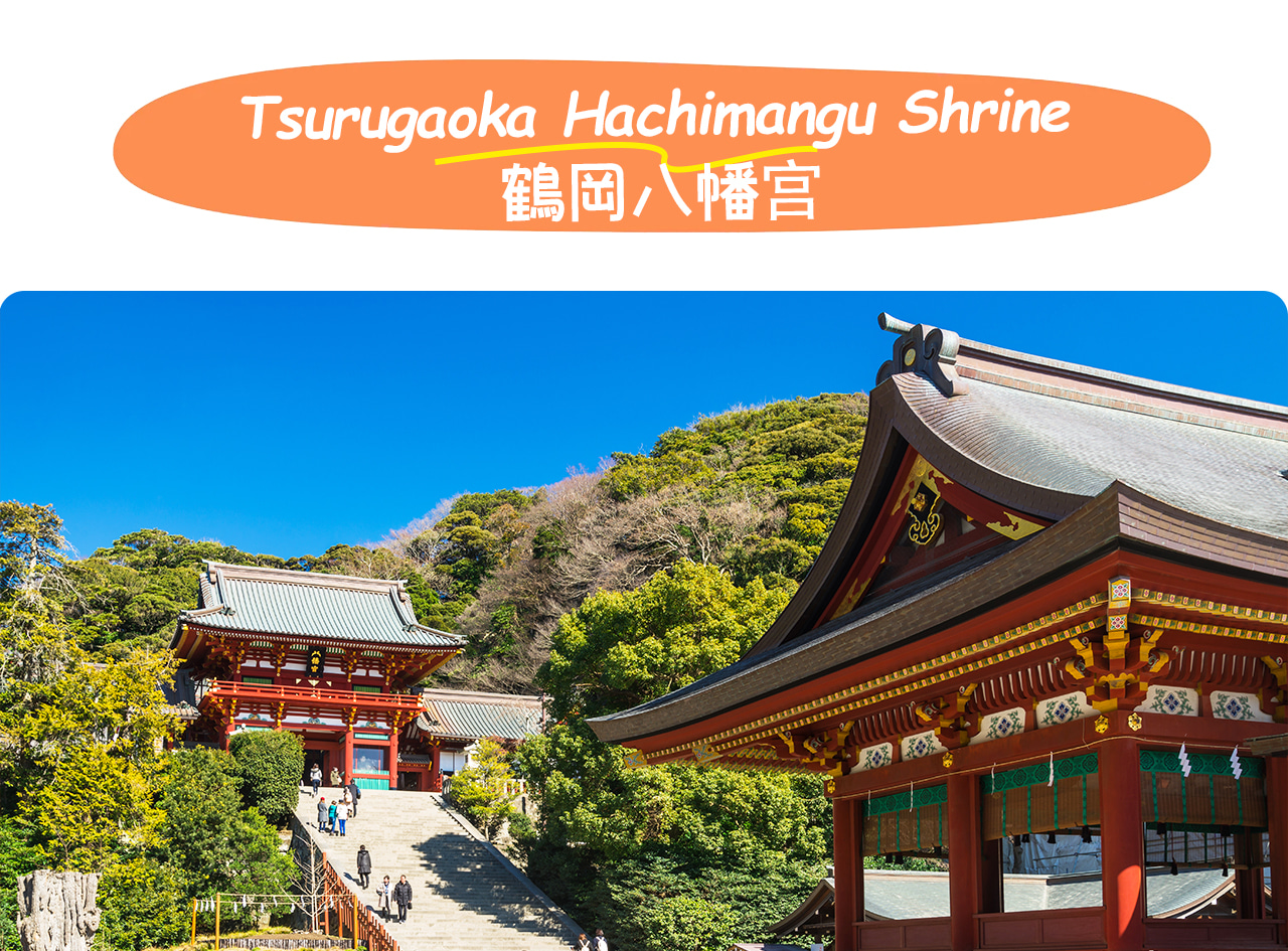 鎌倉鶴岡八幡宮是武家文化象徵的千年古社，四季花木相映，承載著歷史與信仰的厚重氛圍。
