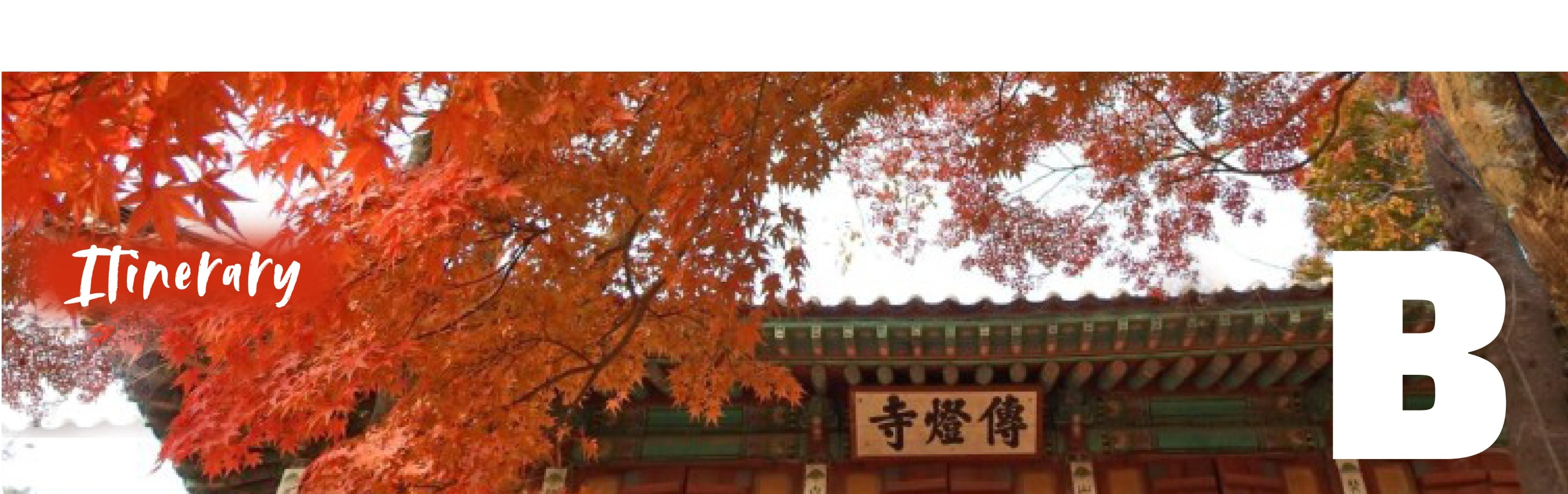 DMZ 非軍事區一日遊（首爾出發）