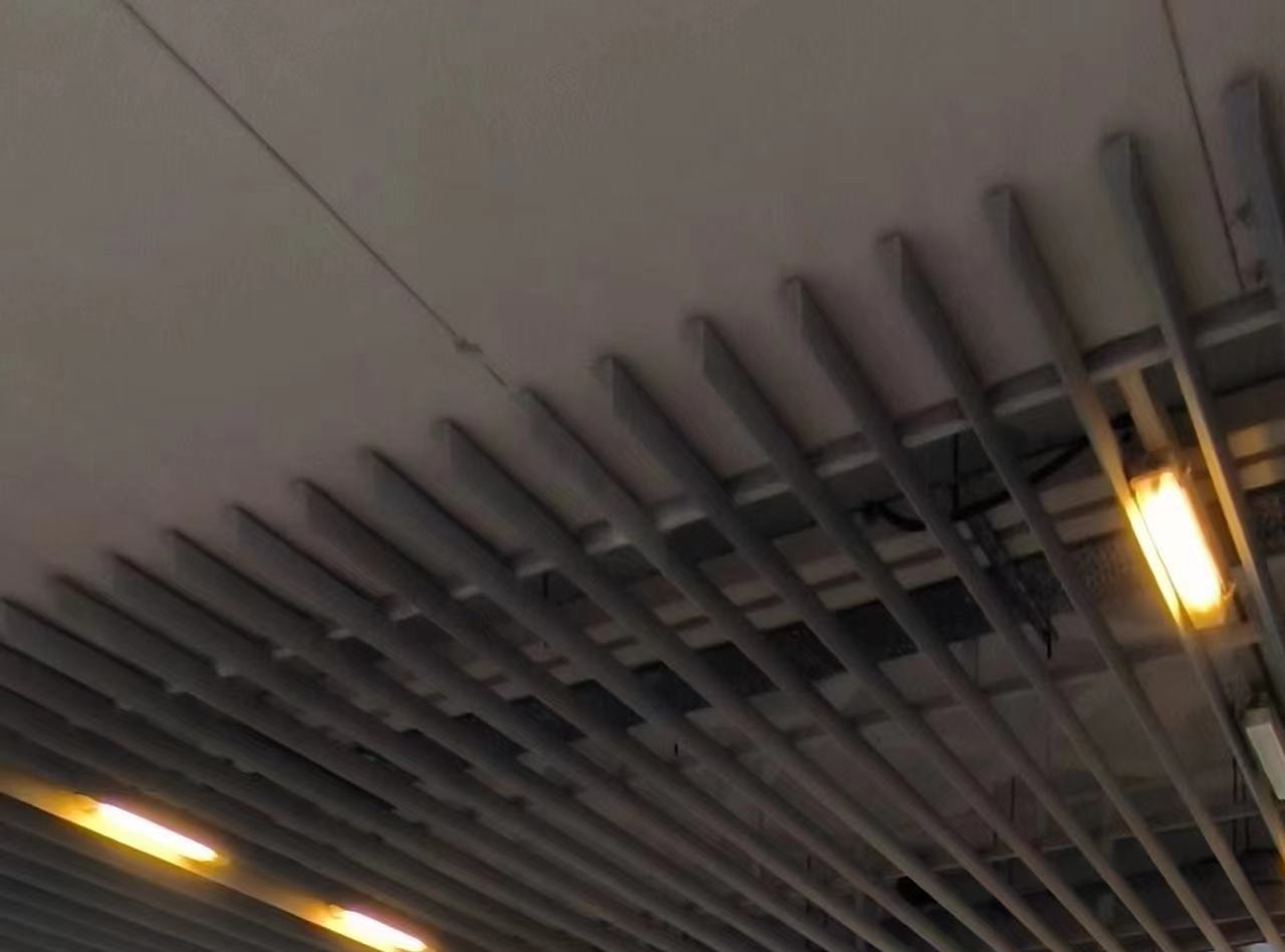 香港瑩之旅-夜遊觀光維多利亞港