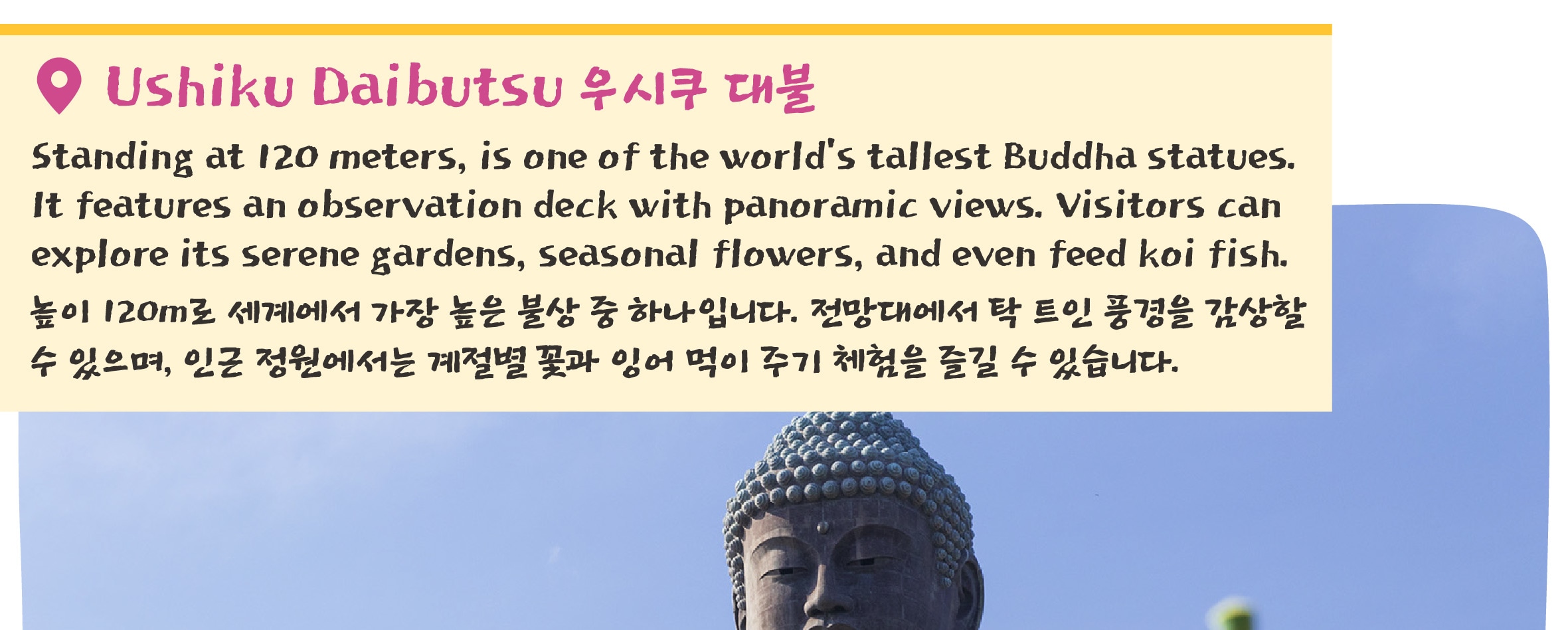 季節限定: 國營常陸海濱公園 & 足利花卉公園一日遊 (東京出發)