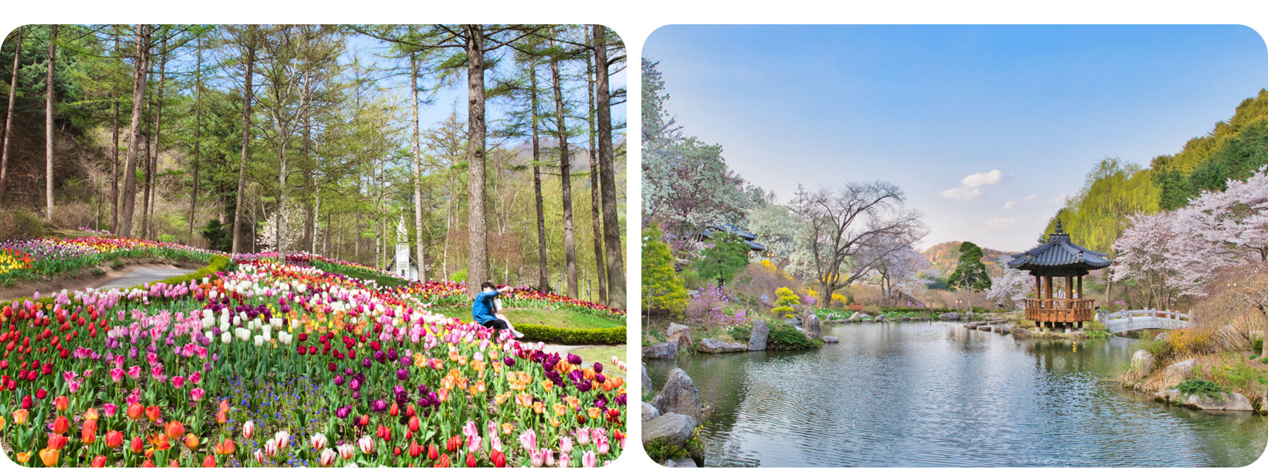 漫步於韓國最美的私人花園之一,欣賞大自然生機盎然的景象。 漫步於韓國最美的私人花園之一,欣賞大自然生機盎然的景象。