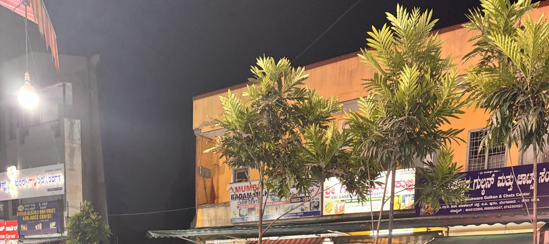 Bangalore : Evening Food Street Walk and Market Visit