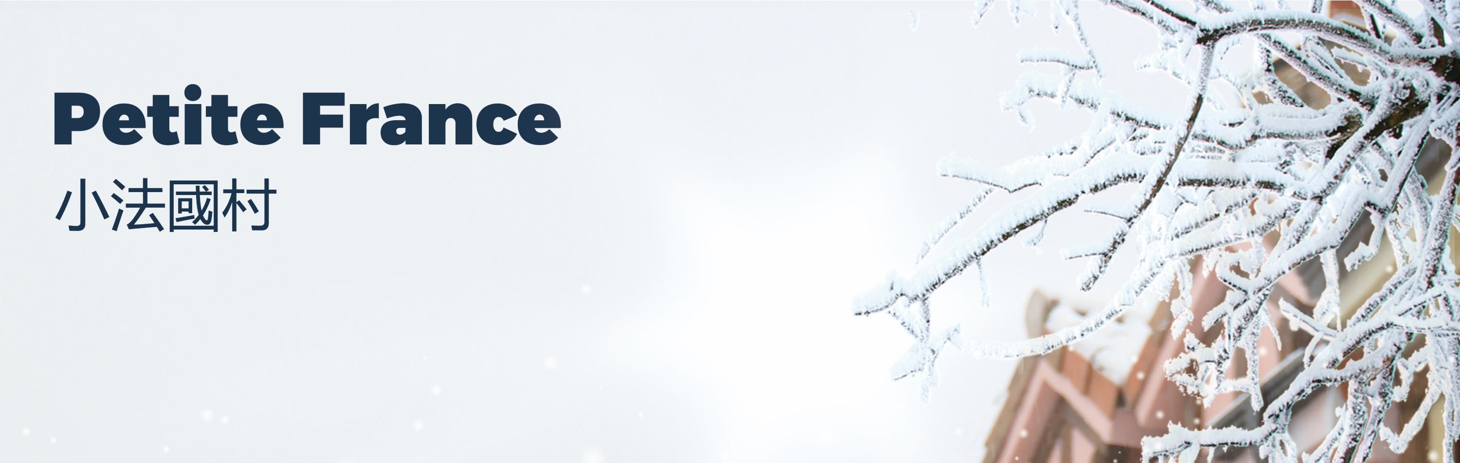 Cheongyang Ice Festival & Nami & Eobi Ice Valley & Strawberry Tour