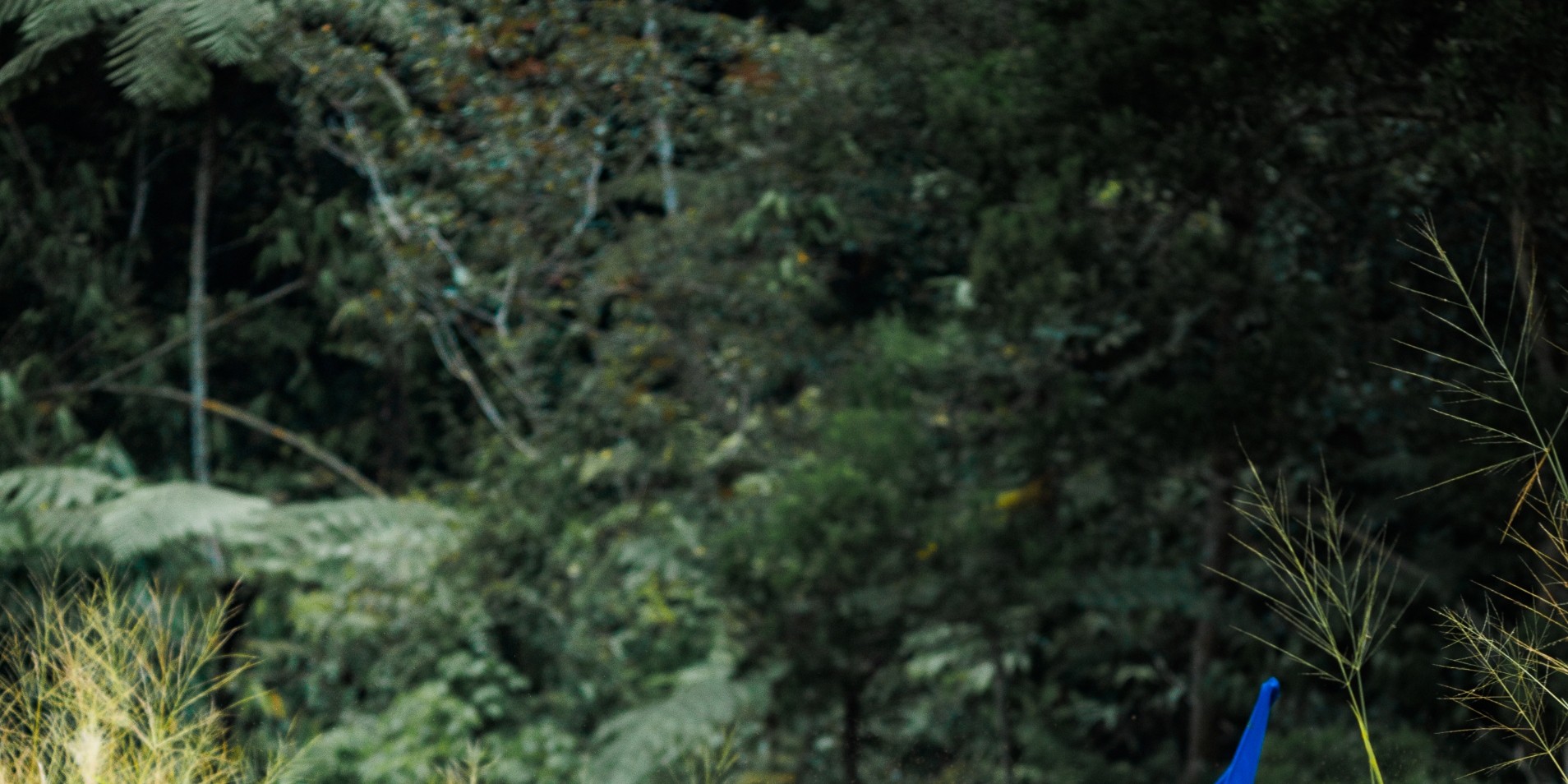 Monster ATV Park in Genting Highlands  - Thumbnail 11