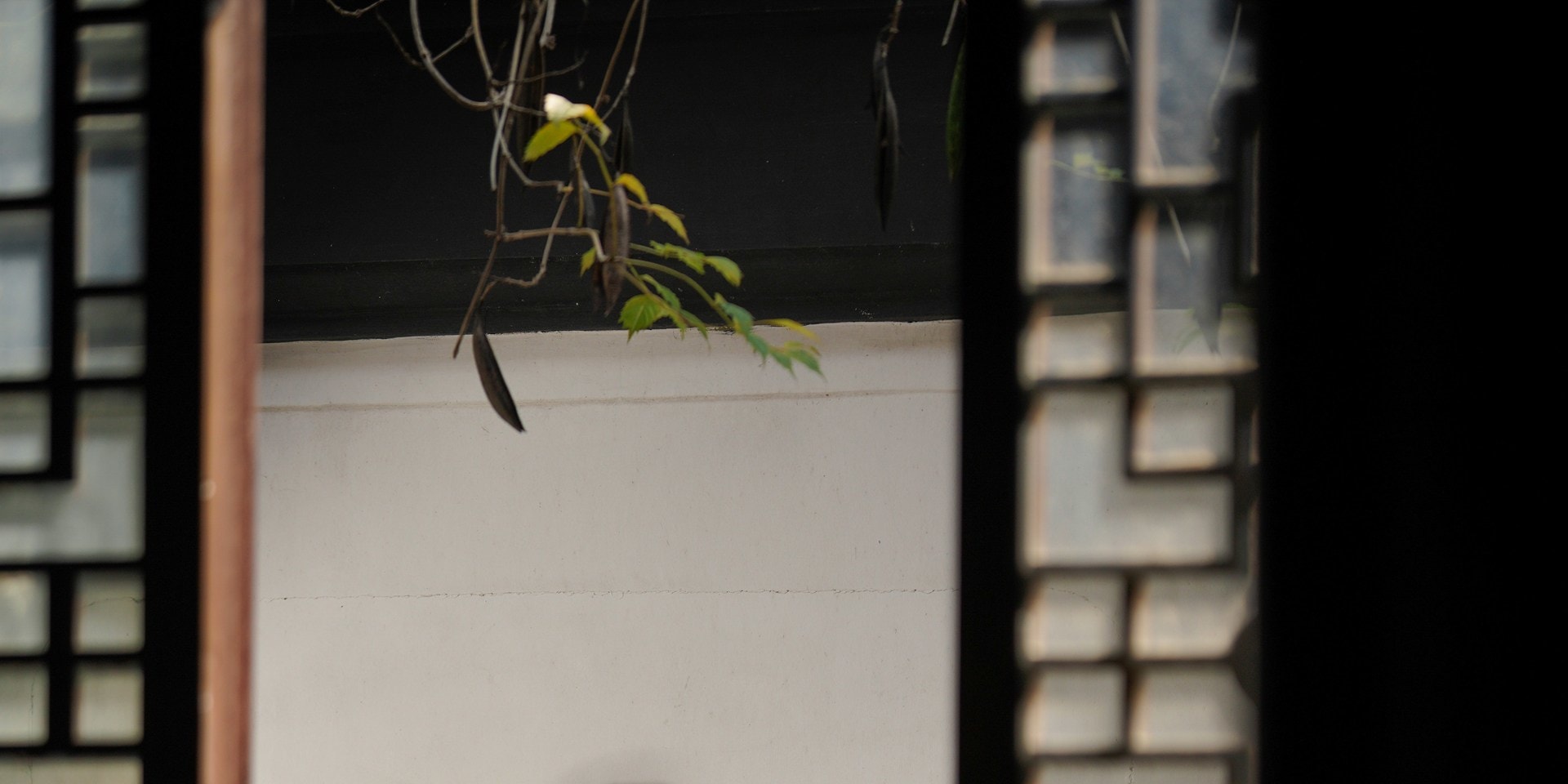Suzhou Shendetang Pingtan Teahouse
