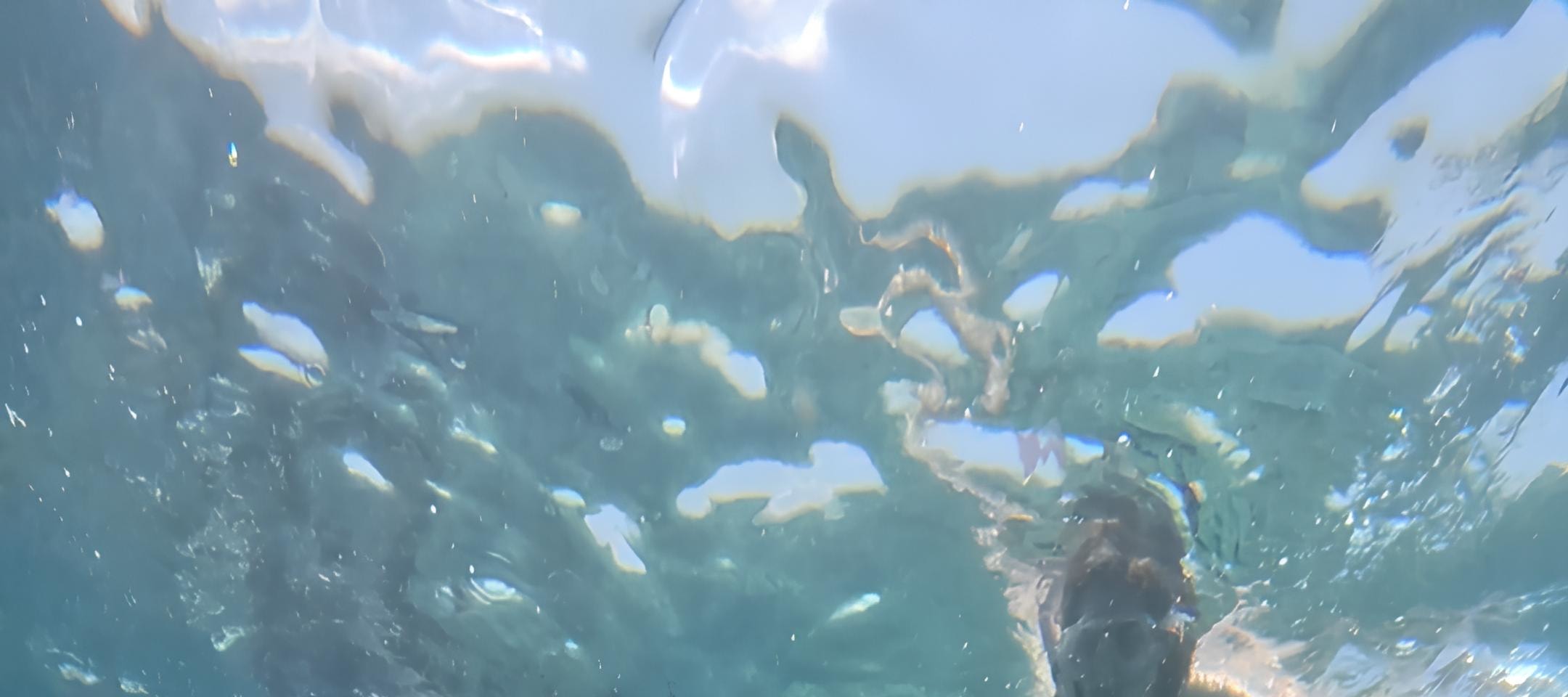 龍目島秘密島嶼私人浮潛之旅（含GoPro）