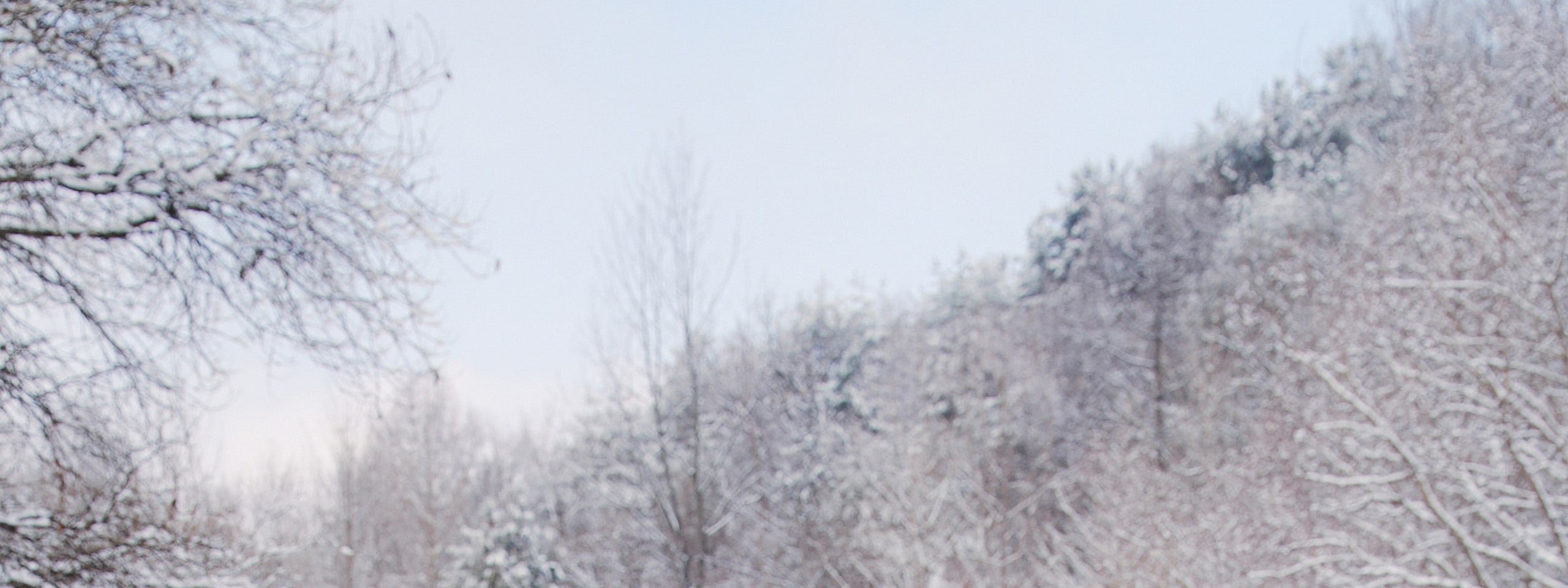 在草泥馬樂園近距離接觸草泥馬,與可愛的動物互動 在草泥馬樂園近距離接觸草泥馬,與可愛的動物互動