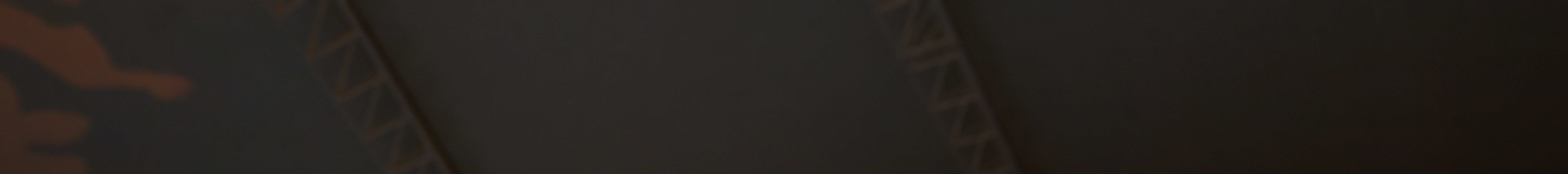 新加坡夜間野生動物園門票（含遊園車之旅）