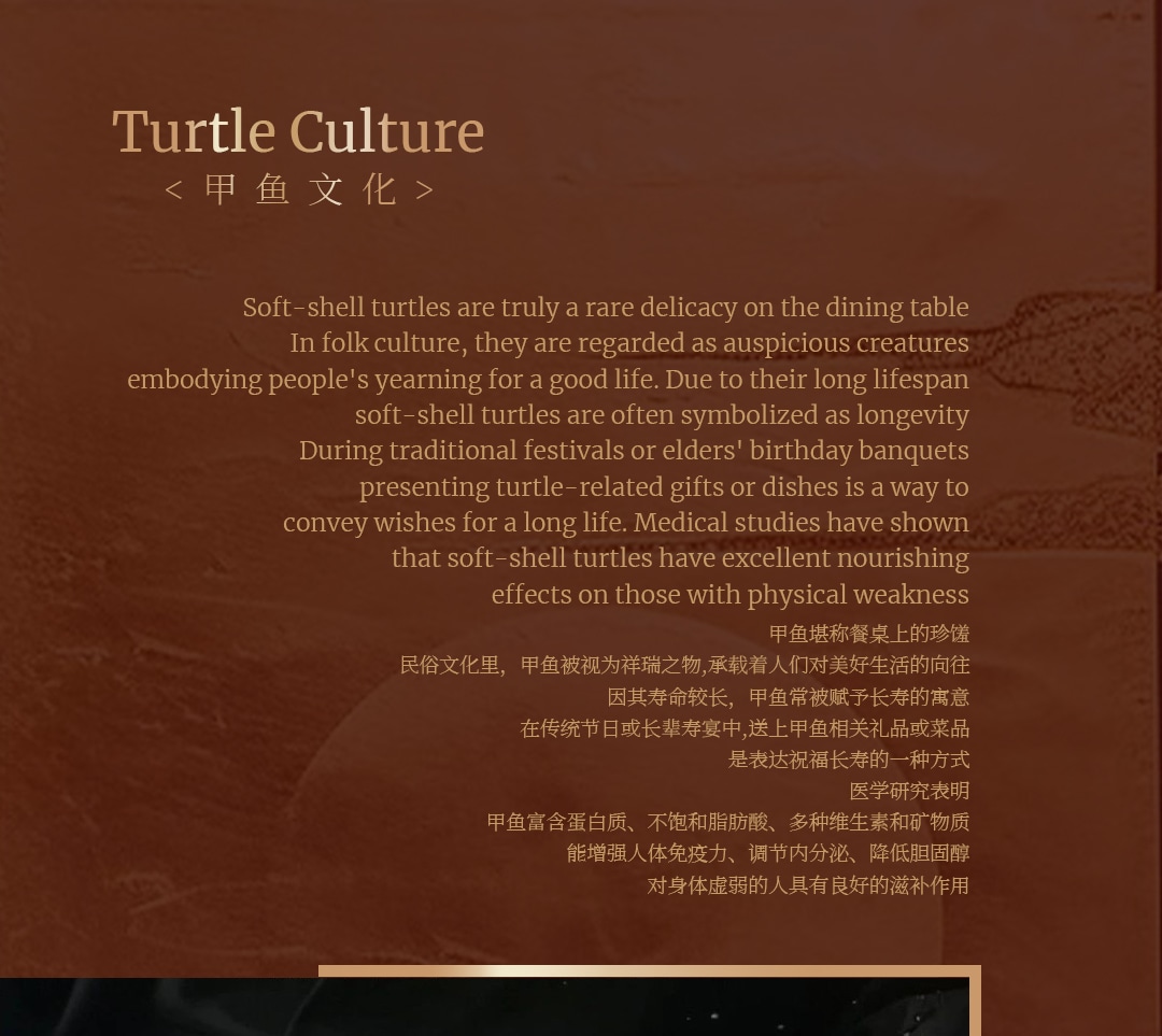 Noble Taste·Turtle Hotpot | Youfang Store