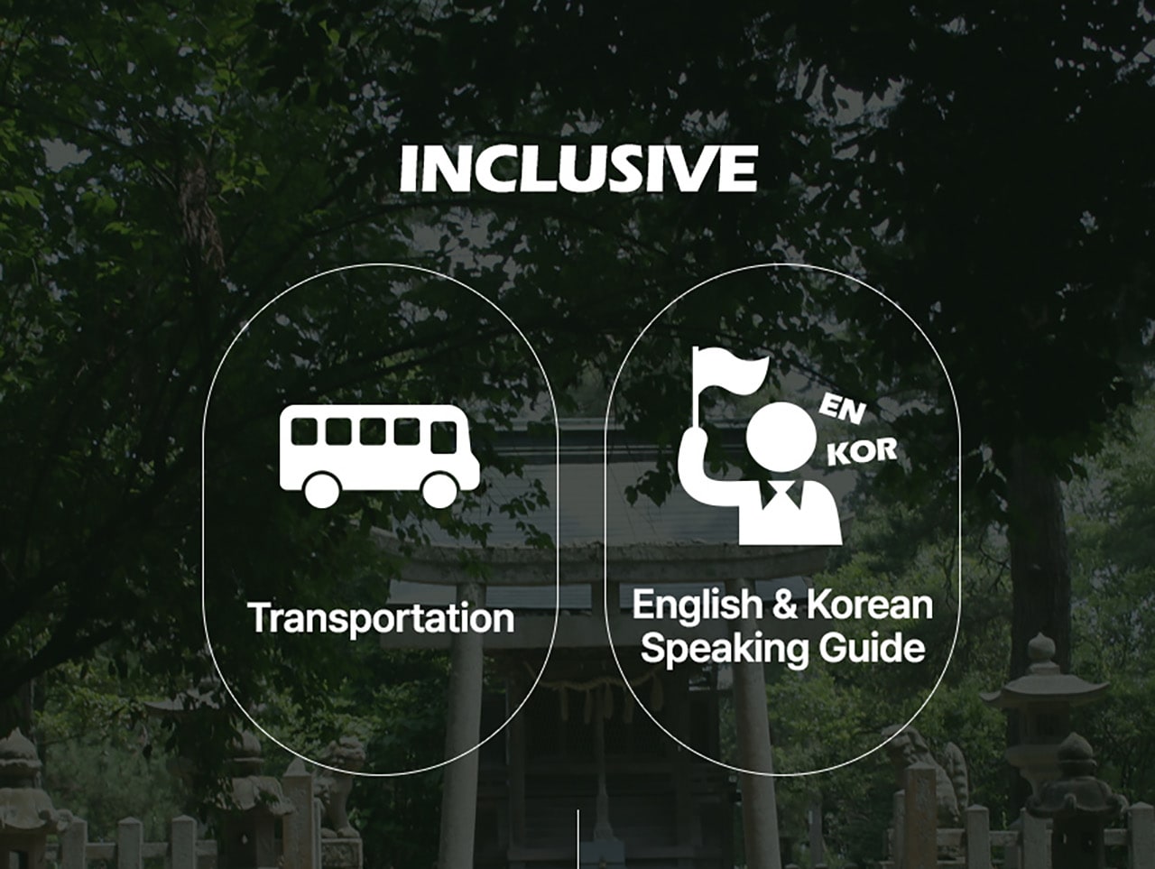 Kyoto by the Sea: Amanohashidate & Ine no Funaya Bus Tour from Osaka