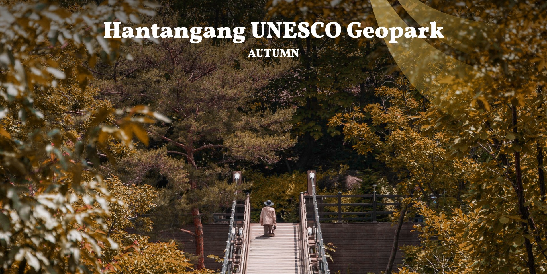 🍂秋意漸濃,金黃色的樹葉與深色玄武岩峽谷交織成一幅美麗的畫作。現在正是欣賞地質奇景與感受大自然溫柔魅力的絕佳時節。 🍂秋意漸濃,金黃色的樹葉與深色玄武岩峽谷交織成一幅美麗的畫作。現在正是欣賞地質奇景與感受大自然溫柔魅力的絕佳時節。