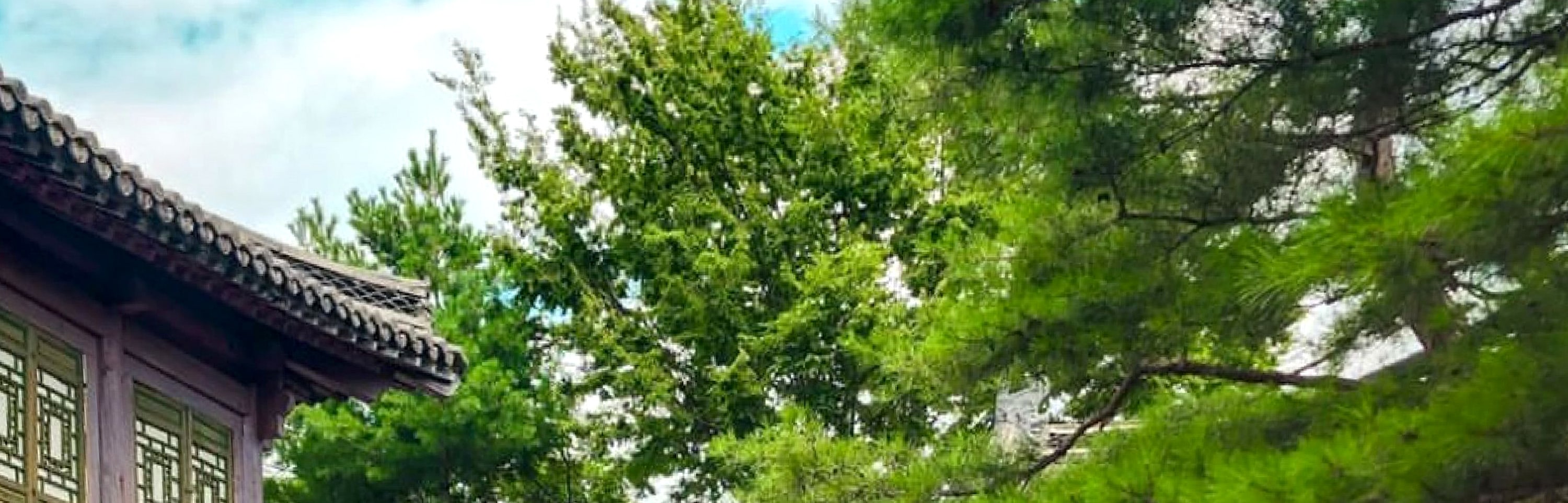 這些以傳統韓式風格新建的建築，維護良好，是拍攝 Instagram 美照的絕佳地點！