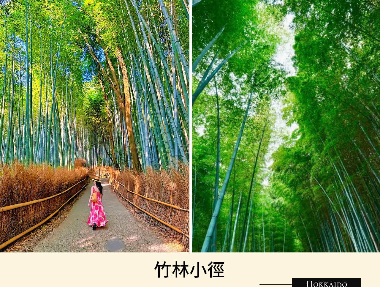 嵐山竹林小徑蜿蜒於翠綠竹林之間，寧靜幽美，是京都賞景與散步的絕佳勝地。