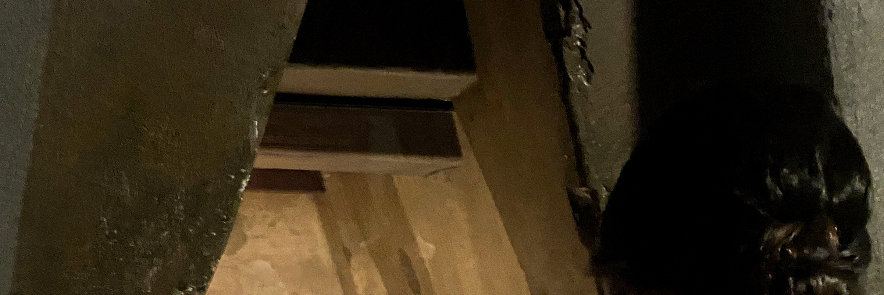 國立人類學博物館導覽