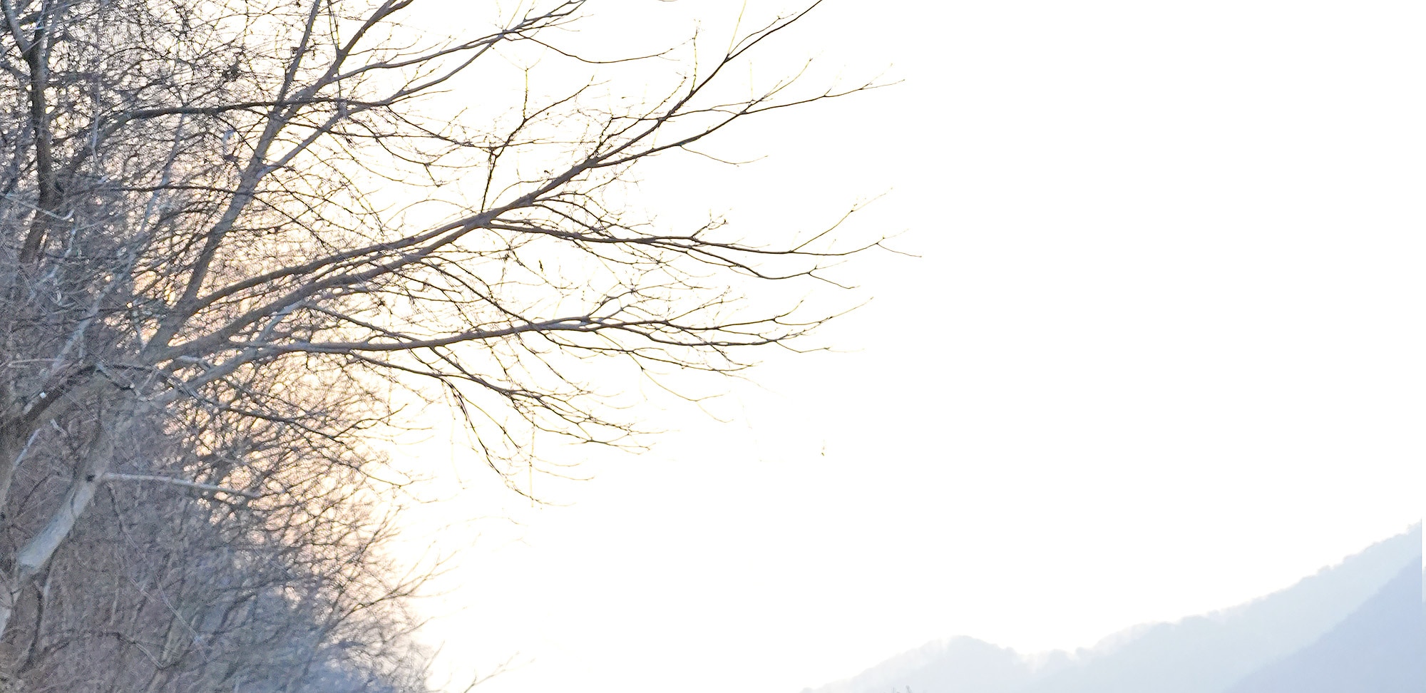 🏞️❄️ 鐵道自行車是欣賞冬季美景的絕佳景點，人氣爆棚，強烈推薦！