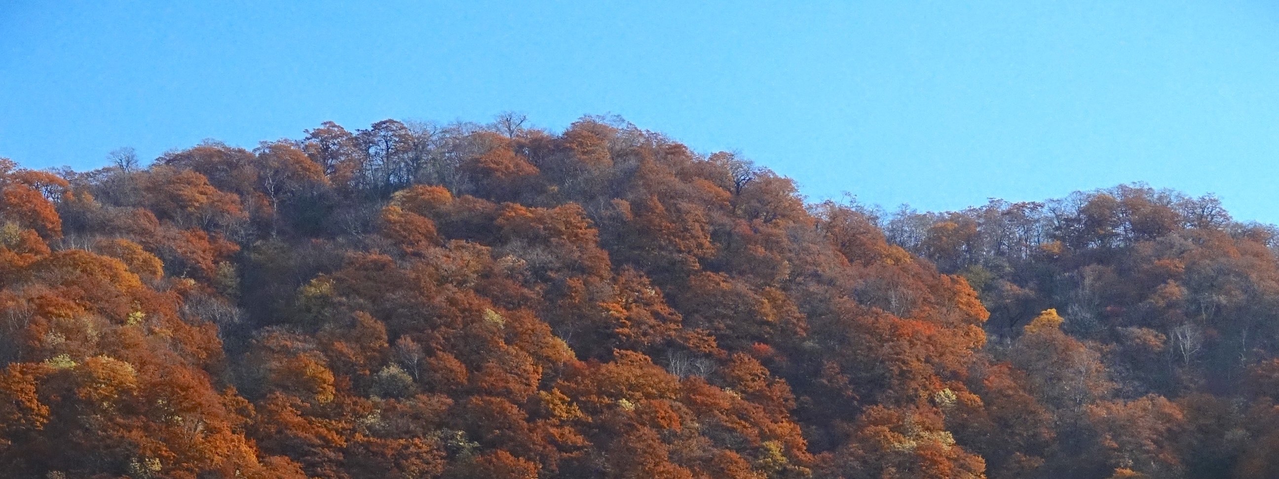 北海道 | 洞爺湖登別地獄谷有珠山美食絕景一日遊| 札幌出發