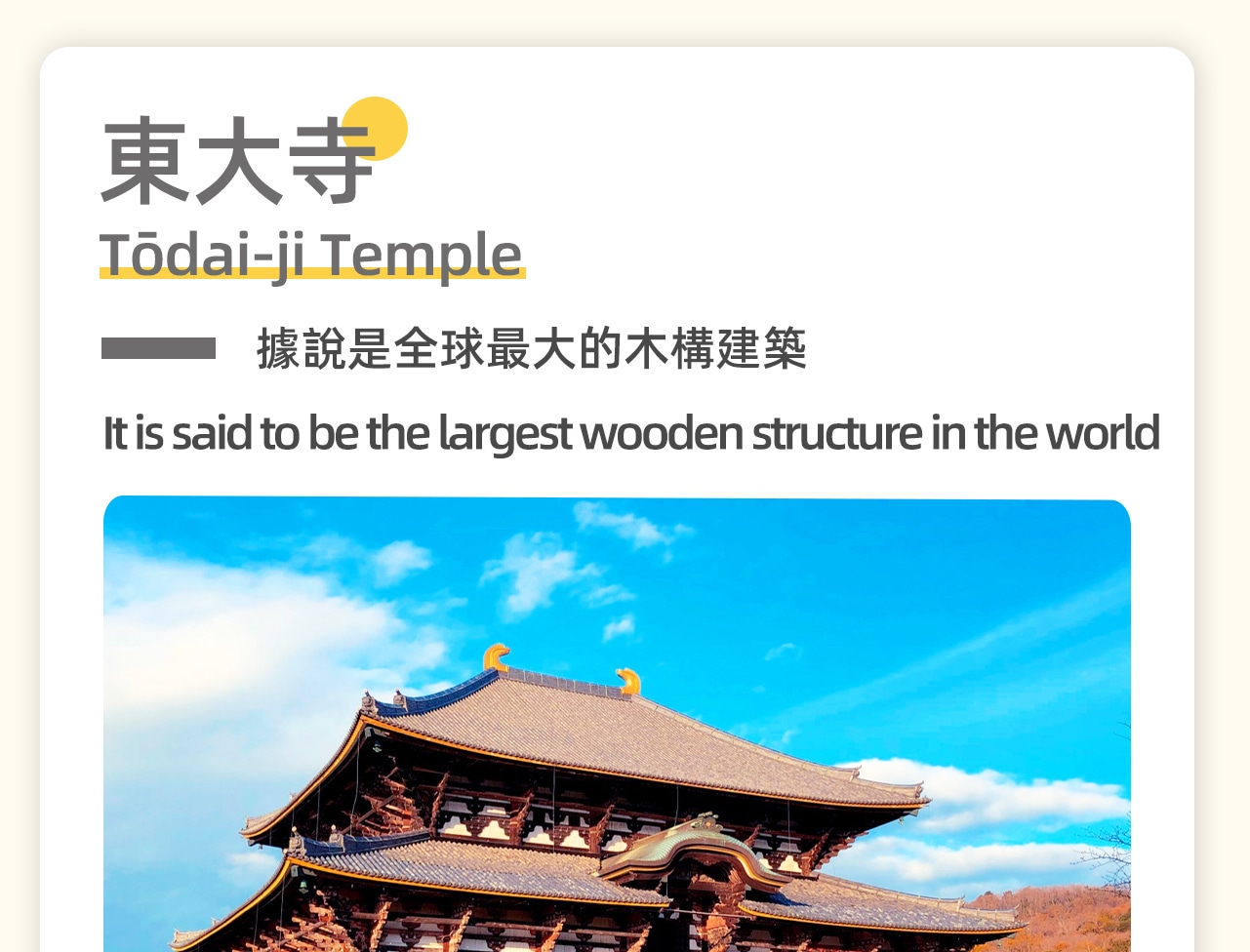 東大寺是世界文化遺產之一,始建於奈良時代,以其宏偉的大佛殿聞名於世。大佛殿寬57米,深50米,高49米,是當今世界最大的木構建築,殿內供奉著高15米的盧舍那大佛。寺內還有眾多歷史悠久的佛像和藝術品,以及自由生活的小鹿,景色宜人,充滿寧靜的歷史氛圍。 東大寺是世界文化遺產之一,始建於奈良時代,以其宏偉的大佛殿聞名於世。大佛殿寬57米,深50米,高49米,是當今世界最大的木構建築,殿內供奉著高15米的盧舍那大佛。寺內還有眾多歷史悠久的佛像和藝術品,以及自由生活的小鹿,景色宜人,充滿寧靜的歷史氛圍。