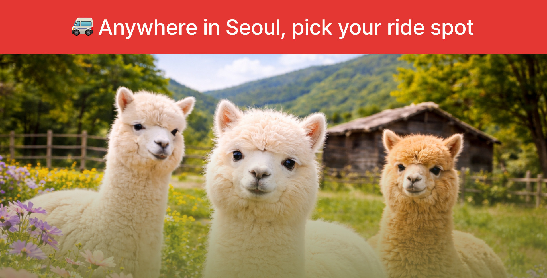 Best of Gangwon-do: Nami Island & Alpaca World Private Car Charter