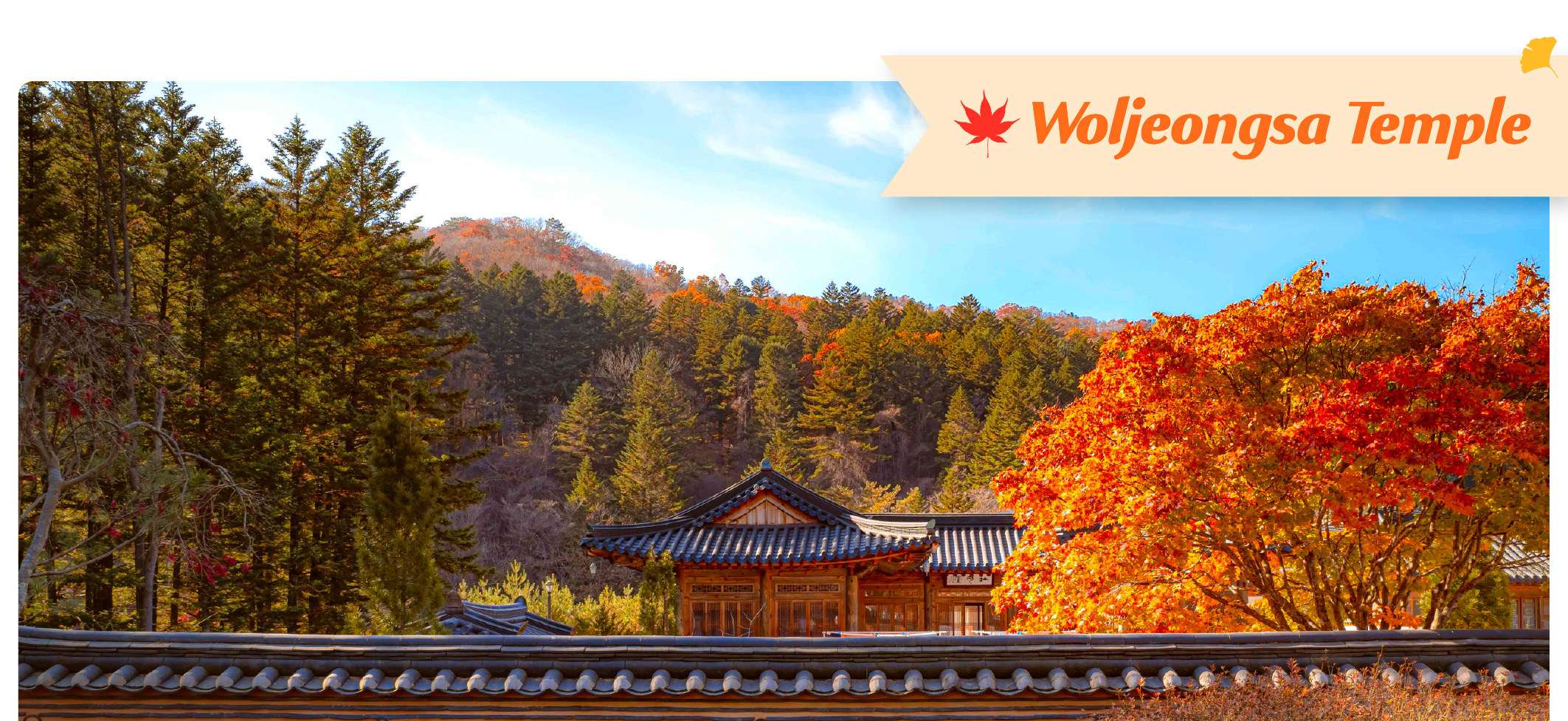 月精寺 (Woljeongsa Temple) 位於韓國平昌郡五台山國家公園的森林中。秋季時的公園景色尤其迷人，擁有色彩鮮豔的樹葉、多樣化的動植物、像月精寺這樣的古老寺廟，以及風景優美的健行步道。