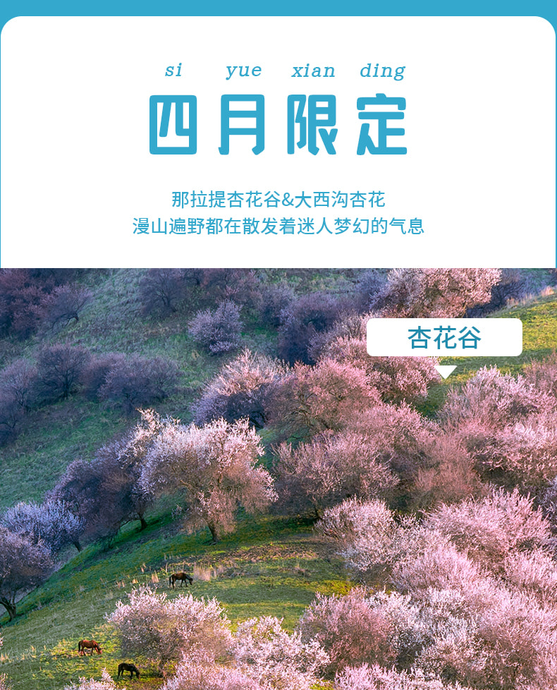 新疆伊犁春色7日（贈賽里木湖輕旅拍+無人機航拍+那拉提杏花谷+大西溝杏花+草原下午茶+民俗體驗+天山天池+安集海大峽谷）